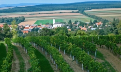 Blick vom Weingebirge auf den Ort