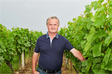 Foto für Magedler Weinbau