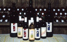 Weinbau Magedler